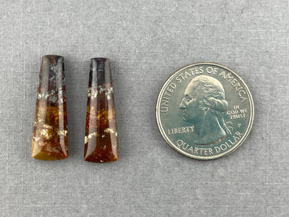 Petrified Wood Pair | Natural Fossil Cabochons | AG303 - Gem Enthusiast