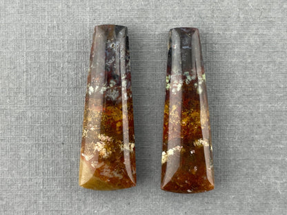 Petrified Wood Pair | Natural Fossil Cabochons | AG303 - Gem Enthusiast