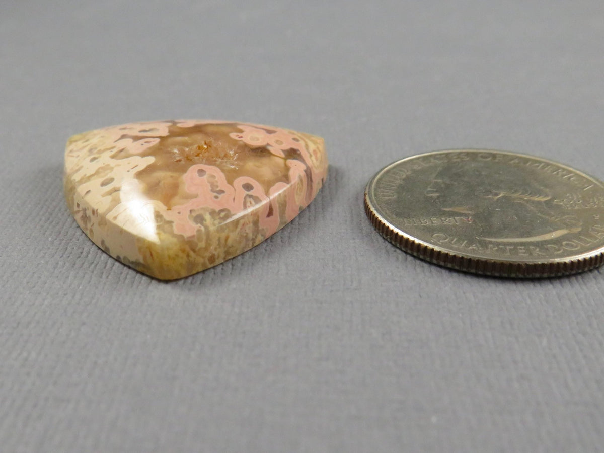 Pink Crazy Lace Agate Trillion Cabochon, 28mm Untreated | AG403 - Gem Enthusiast
