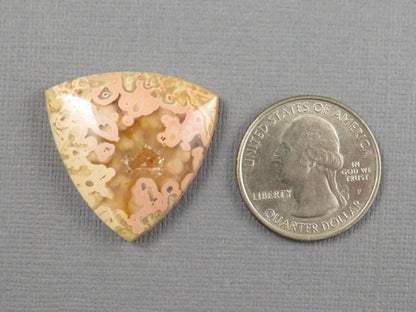 Pink Crazy Lace Agate Trillion Cabochon, 28mm Untreated | AG403 - Gem Enthusiast