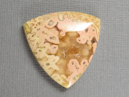 Pink Crazy Lace Agate Trillion Cabochon, 28mm Untreated | AG403 - Gem Enthusiast