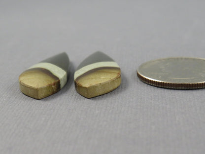 Polychrome Jasper Teardrop Cabochon Pair, Green and Brown Gemstone from Indonesia 34x12mm (JP104) - Gem Enthusiast