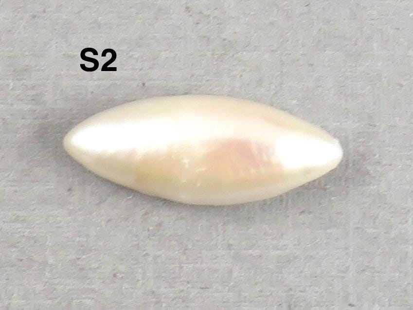 RARE Tennessee River Pearls | Marquise Cabochon | American Gemstones | 18x7 mm | PR103 - Gem Enthusiast