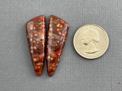 River Jasper Pair | Natural Orbicular Gemstone from Indonesia | JS210 - Gem Enthusiast