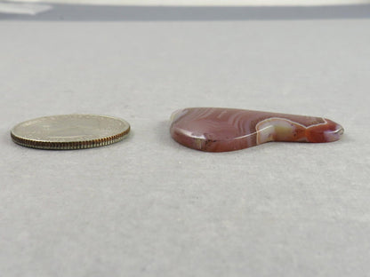 Sierra Madre Agate | 37x27 mm | Large Natural Loose Cabochon Gemstone | AG317 - Gem Enthusiast