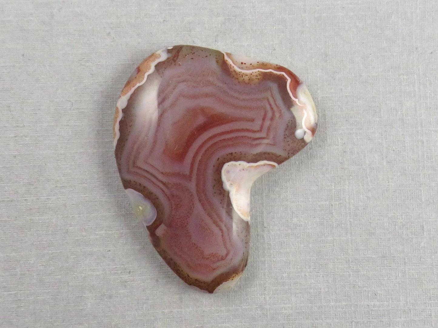 Sierra Madre Agate | 39x30 mm | Large Natural Loose Cabochon Gemstone | AG318 - Gem Enthusiast