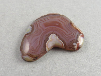 Sierra Madre Agate | 39x30 mm | Large Natural Loose Cabochon Gemstone | AG318 - Gem Enthusiast
