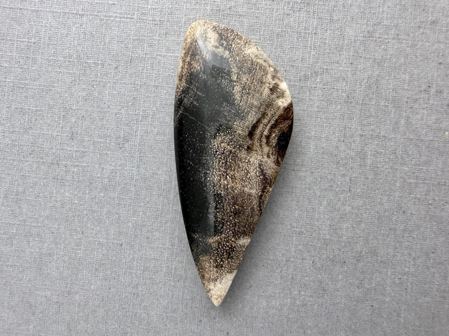 Smokey Petrified Wood | Natural Fossil Cabochons | WO253 - Gem Enthusiast