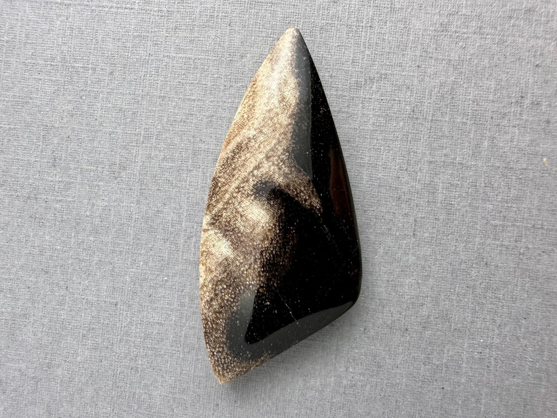 Smokey Petrified Wood | Natural Fossil Cabochons | WO254 - Gem Enthusiast