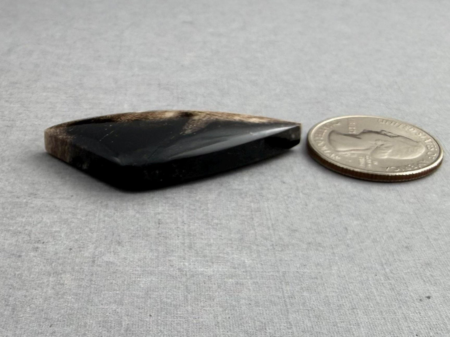 Smokey Petrified Wood | Natural Fossil Cabochons | WO254 - Gem Enthusiast