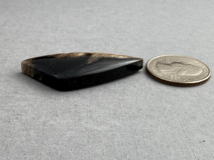 Smokey Petrified Wood | Natural Fossil Cabochons | WO254 - Gem Enthusiast