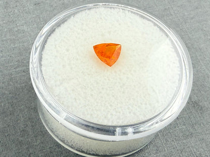 Spessartine Garnet Trillion | Mandarin Orange | 5.5mm | GS122 - Gem Enthusiast