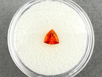 Spessartine Garnet Trillion | Mandarin Orange | 5.5mm | GS122 - Gem Enthusiast