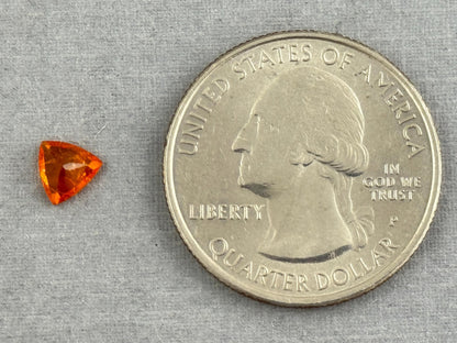 Spessartine Garnet Trillion | Mandarin Orange | 5.5mm | GS122 - Gem Enthusiast