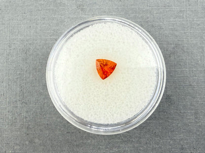 Spessartine Garnet Trillion | Mandarin Orange | 5.5mm | GS122 - Gem Enthusiast