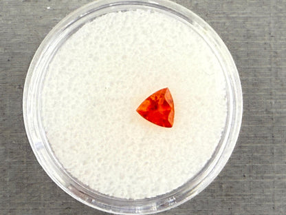 Spessartine Garnet Trillion | Mandarin Orange | 5mm | GS123 - Gem Enthusiast