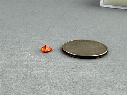Spessartine Garnet Trillion | Mandarin Orange | 5mm | GS123 - Gem Enthusiast