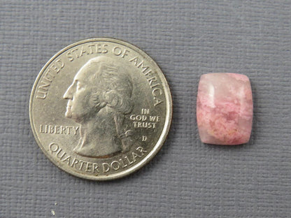 Sunset Rhodonite | 12x9 mm | Natural Cabochon Mined in Italy | RD103 - Gem Enthusiast