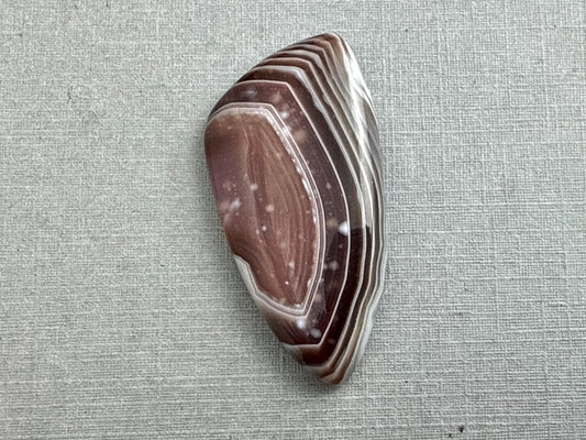 Timor Agate | 39x19x6 mm | Large Natural Loose Cabochon Gemstone | AG313 - Gem Enthusiast