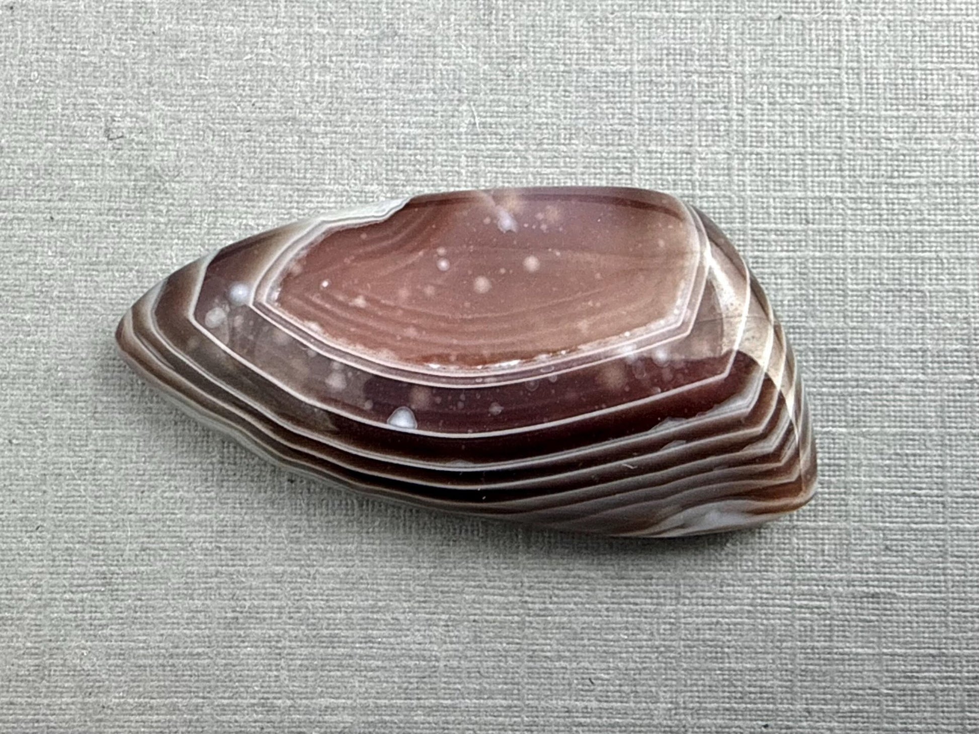 Timor Agate | 39x19x6 mm | Large Natural Loose Cabochon Gemstone | AG313 - Gem Enthusiast