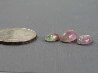 Watermelon Tourmaline Cabochon Oval | 9 - 11.5, depth 4 - 5 mm, 7.64ct | 3 - Stone Lot | TO559 - Gem Enthusiast