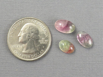 Watermelon Tourmaline Cabochon Oval | 9 - 11.5, depth 4 - 5 mm, 7.64ct | 3 - Stone Lot | TO559 - Gem Enthusiast