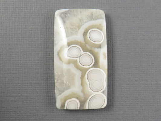 White Orbicular Agate Rectangle Cabochon, Indonesia, 38x20mm (OA125) - Gem Enthusiast