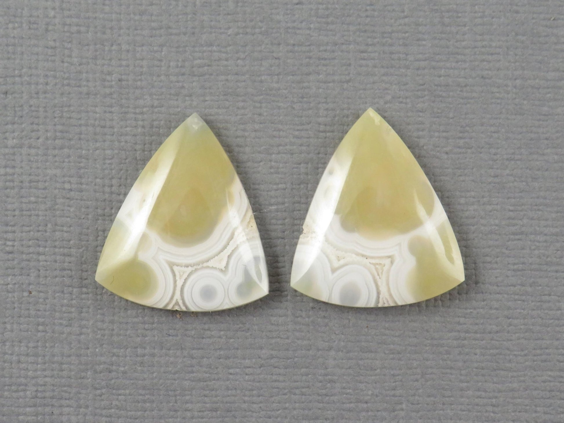 White Orbicular Agate Trillion | Cabochon for Setting | 20x17mm, 18ct | Per Pair | Indonesia | OA112 - Gem Enthusiast