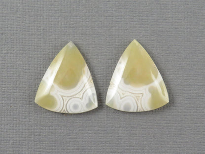 White Orbicular Agate Trillion | Cabochon for Setting | 20x17mm, 18ct | Per Pair | Indonesia | OA112 - Gem Enthusiast