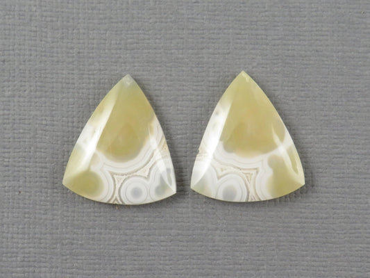 White Orbicular Agate Trillion | Cabochon for Setting | 20x17mm, 18ct | Per Pair | Indonesia | OA112 - Gem Enthusiast