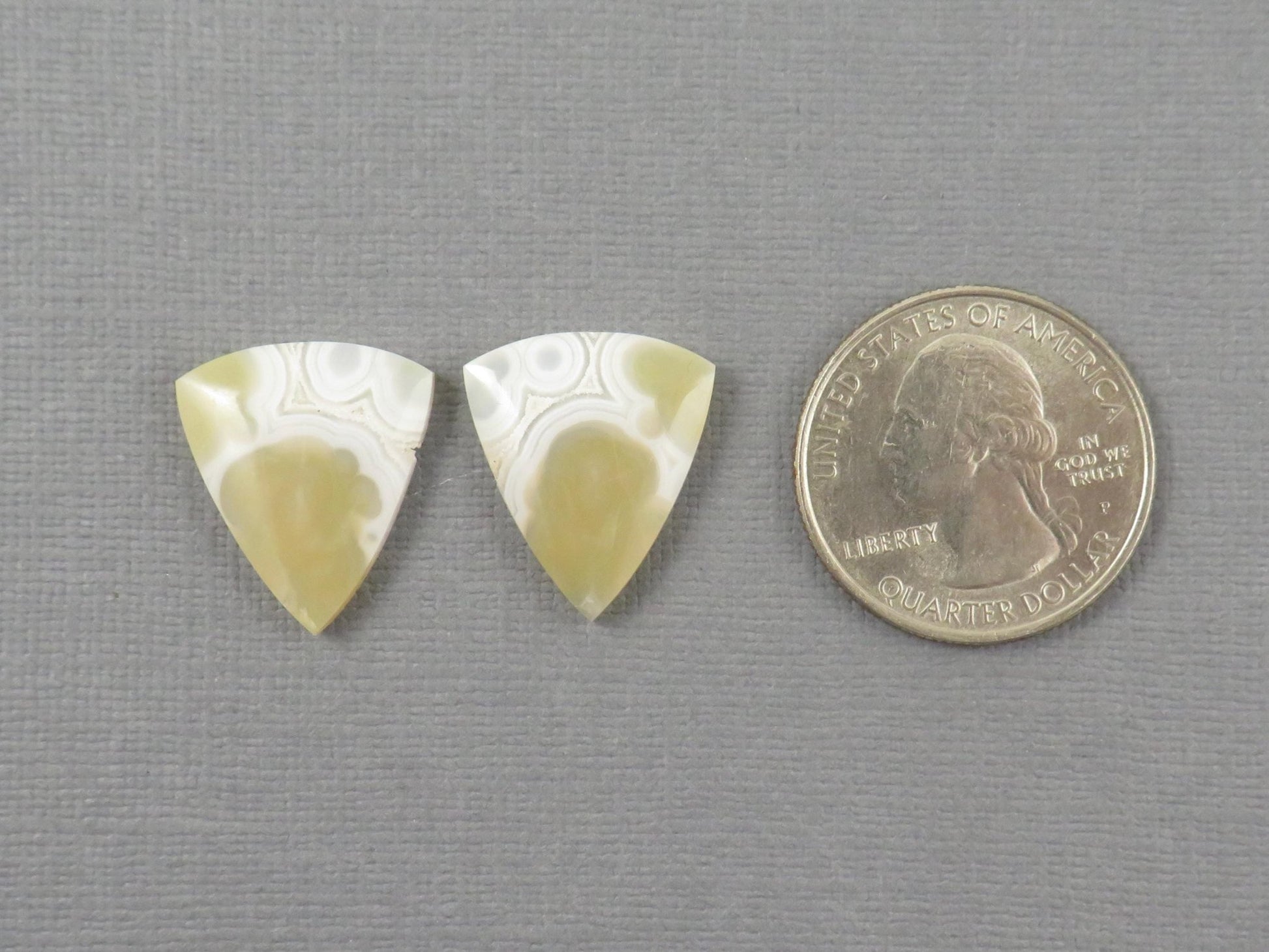White Orbicular Agate Trillion | Cabochon for Setting | 20x17mm, 18ct | Per Pair | Indonesia | OA112 - Gem Enthusiast