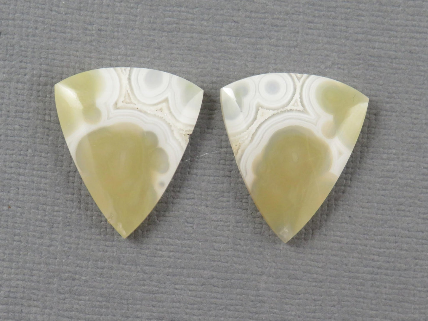 White Orbicular Agate Trillion | Cabochon for Setting | 20x17mm, 18ct | Per Pair | Indonesia | OA112 - Gem Enthusiast