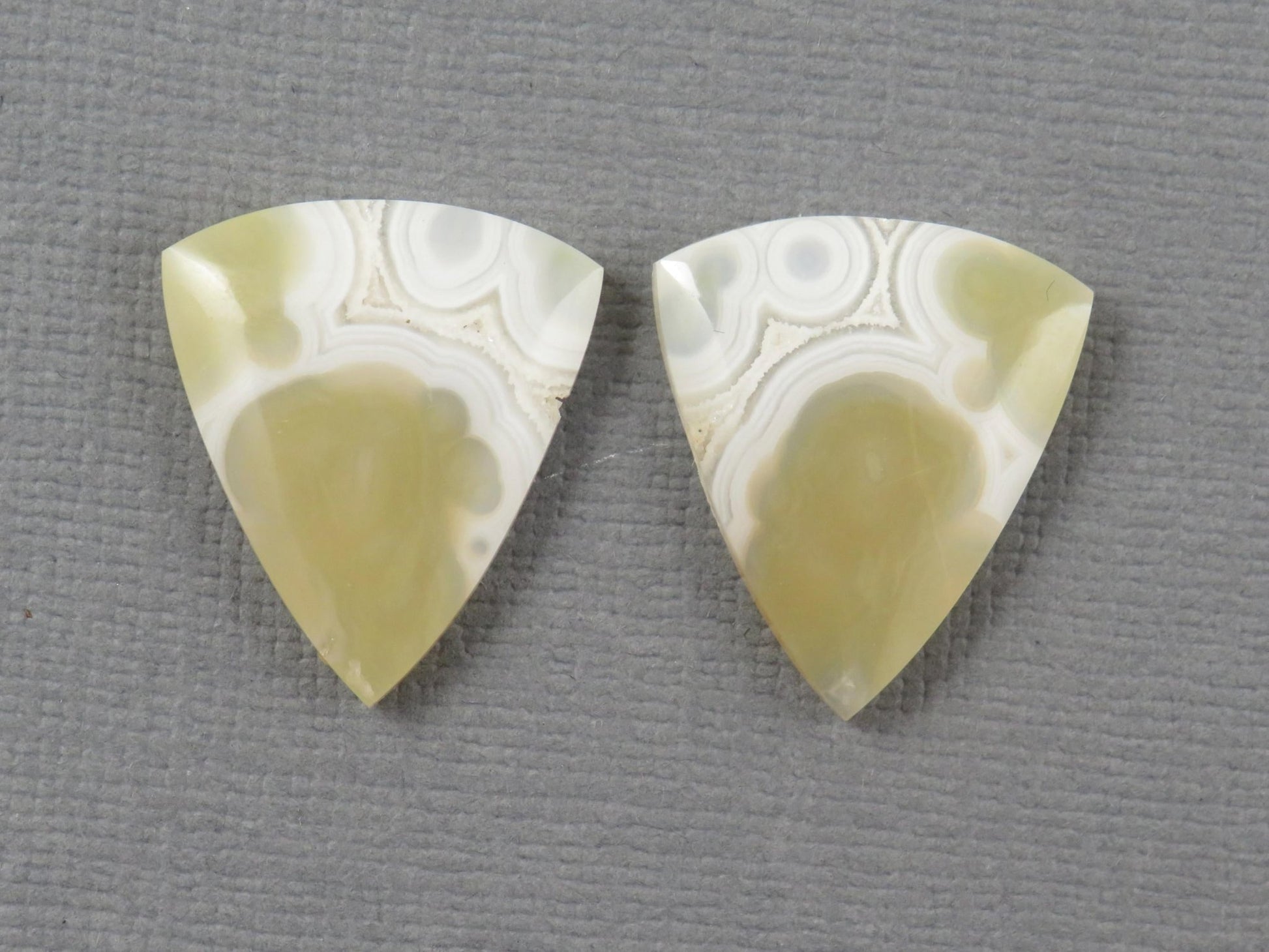White Orbicular Agate Trillion | Cabochon for Setting | 20x17mm, 18ct | Per Pair | Indonesia | OA112 - Gem Enthusiast