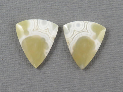 White Orbicular Agate Trillion | Cabochon for Setting | 20x17mm, 18ct | Per Pair | Indonesia | OA112 - Gem Enthusiast