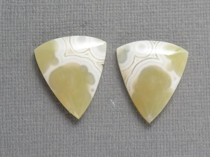 White Orbicular Agate Trillion | Cabochon for Setting | 20x17mm, 18ct | Per Pair | Indonesia | OA112 - Gem Enthusiast