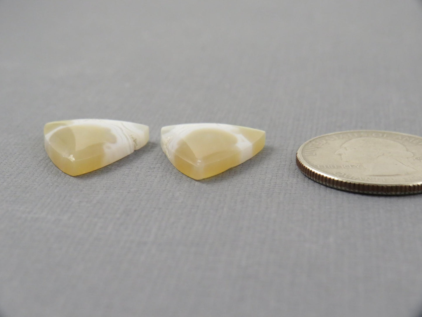 White Orbicular Agate Trillion | Cabochon for Setting | 20x17mm, 18ct | Per Pair | Indonesia | OA112 - Gem Enthusiast