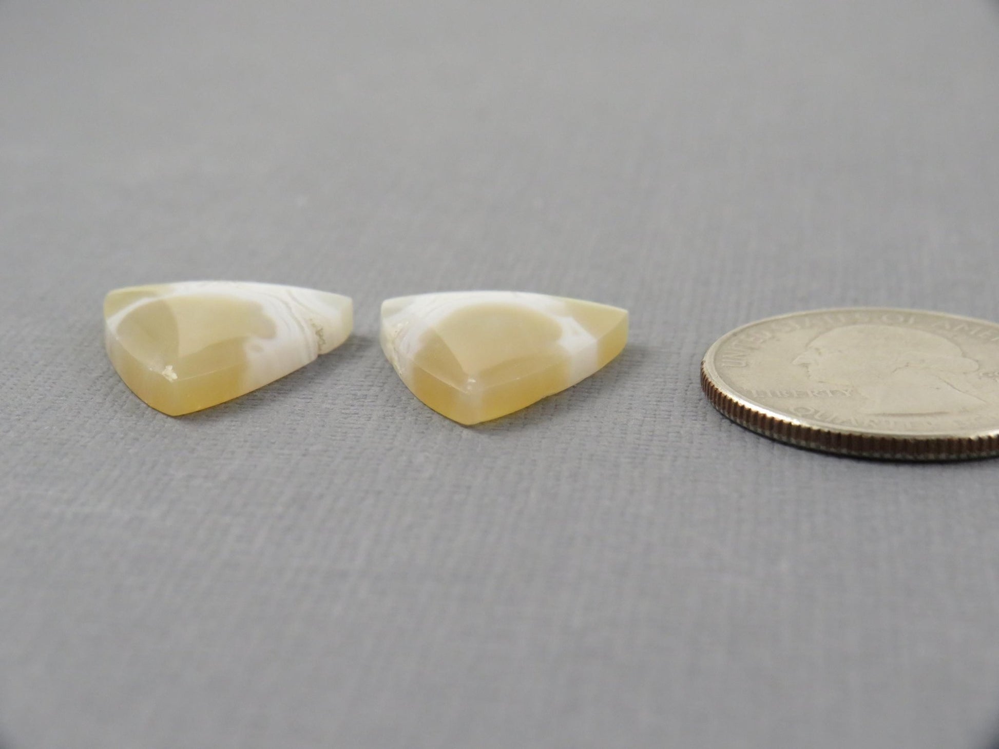 White Orbicular Agate Trillion | Cabochon for Setting | 20x17mm, 18ct | Per Pair | Indonesia | OA112 - Gem Enthusiast
