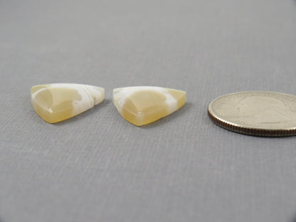 White Orbicular Agate Trillion | Cabochon for Setting | 20x17mm, 18ct | Per Pair | Indonesia | OA112 - Gem Enthusiast